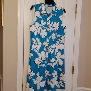 Blue button down shirt dress